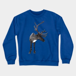 Santa Claus Reindeer Crewneck Sweatshirt